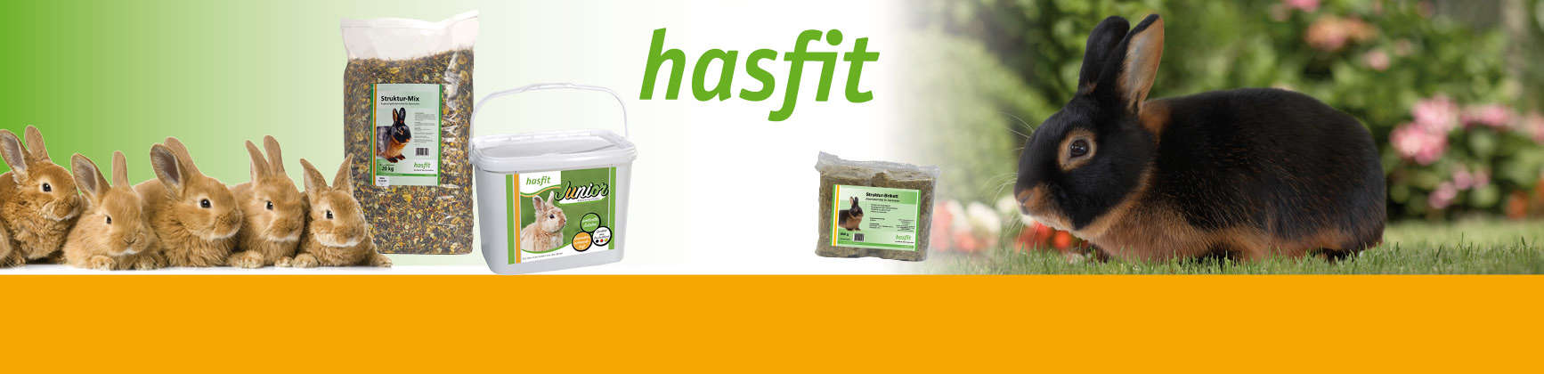 hasfit banner